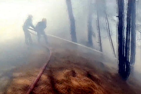 Forest fire in Jammu and Kashmir
